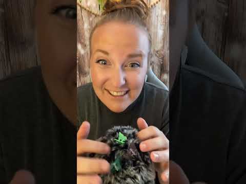 ASMR Triggers Everyone Loves