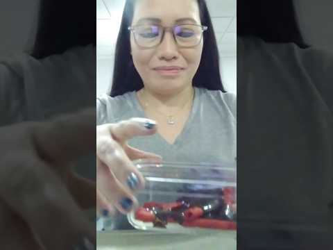 RED TAKIS AND CHOCOLATE #shortsfeed #mukbang #americanmukbangers #subscribers #asmrsounds