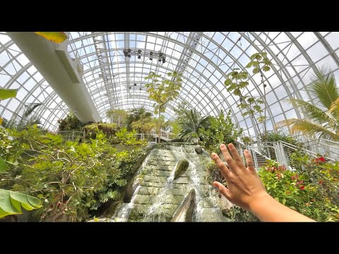ASMR at a Botanical Garden 🌺🌿🪷