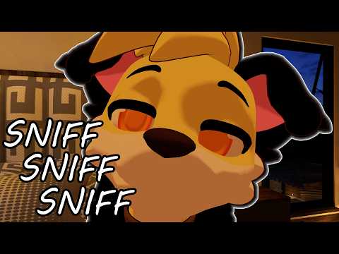 [Furry ASMR] Dog Gives You A Sniff Inspection
