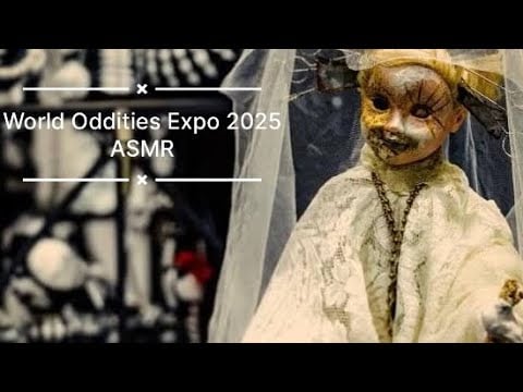 World Oddities Expo 2025 ASMR 