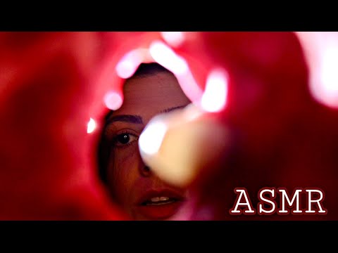 ASMR l ESSA NOITE TODOS VOCÊS SERÃO MULHERES (exame ginecológico) CÂMERA TOUCHING