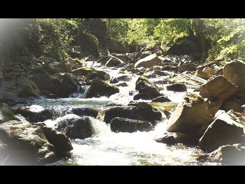 Nature sounds ~ Water streams ~ White noise (lo-fi)