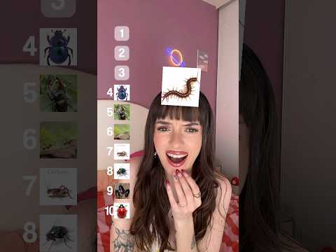 #ASMR | Et si je trouvais ÇA dans mon LIT ?? 😰🪳 #asmrfrançais