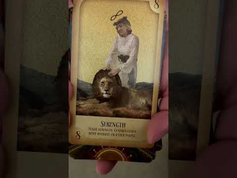 Daily Tarot Card #dailytarotreading #tarot