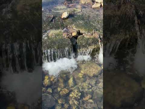 Sound of a mountain stream in Tennessee #momentofzen