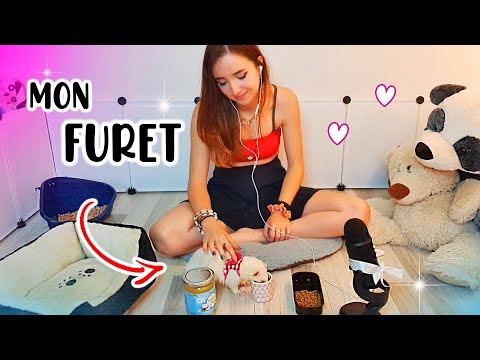 ASMR Je m'occupe de mon FURET 🐾 Couper les griffes, nettoyage d'oreilles, ...