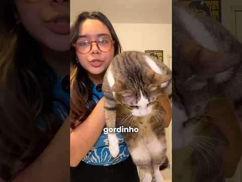 POV: um gato melhora seu humor 😻