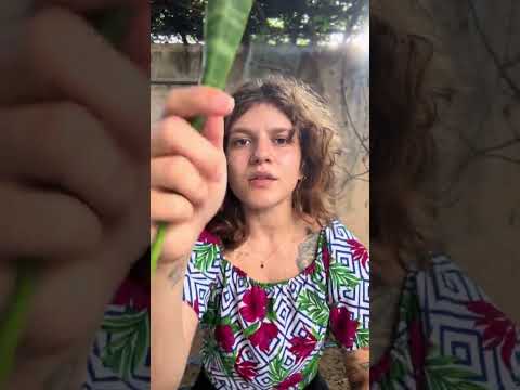 Benzedeira!  #asmr #relax #asmrroleplay #tapping #fy #dormir #asmrvideo  #pov #foryou
