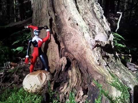 Harley, Queen from the Woods ♫