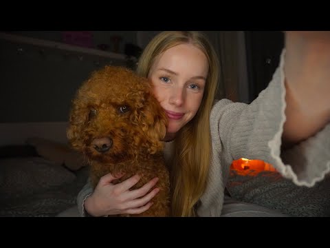 ASMR with my dog - well not mine but 🤷‍♀️😂