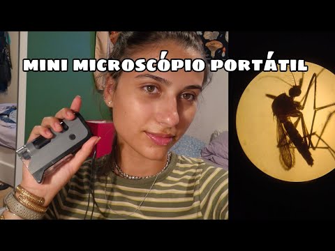 ASMR MOSQUITO NO MICROSCÓPIO🦟💥
