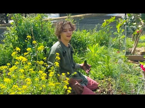 ASMR Gardening | Ep #2 | Weeding + Rambling