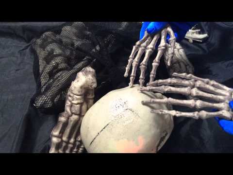 [ ASMR ] Pile of Bones with opera gloves