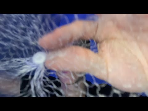 ASMR TELARAÑA