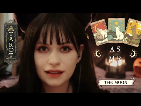 ASMR🔮 eres un gato y te leo el TAROT🪬 rolplay (asmr en español)