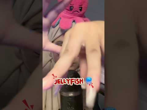 Jellyfish 🪼 asmr #asmrvideo #asmr