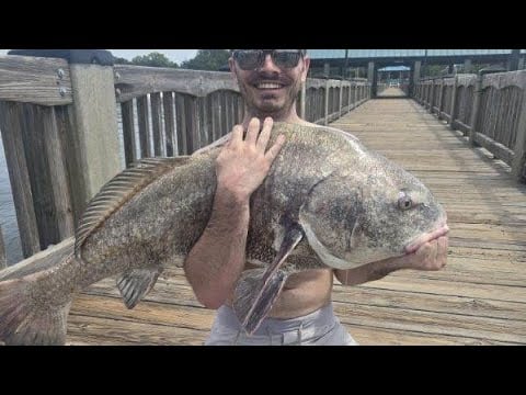 ASMR Fishing Gear Show and Tell | Crinkles and Tapping | Soft Spoken