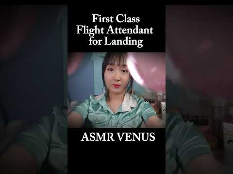 ASMR Shorts First Class Flight Attendant Preparing for LandingㅣMorning Facial Skincare Treatment✈️
