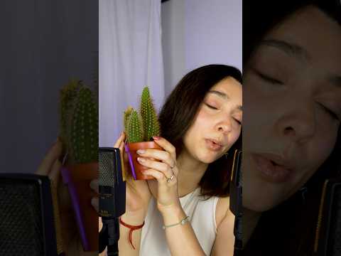 Se hai bisogno di dormire velocemente ✨ ASMR