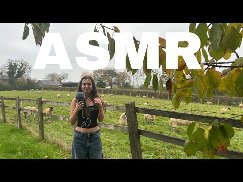 ASMR OUTSIDE!!! (wood tapping, scratching, crunchy sounds)