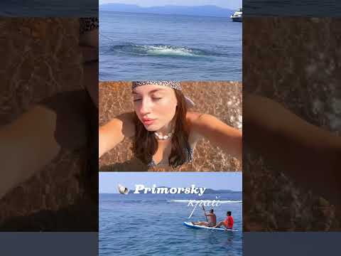 Малая родина 🦭