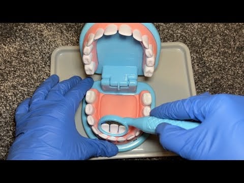 ASMR Tiktok Compilation Dentist Roleplay
