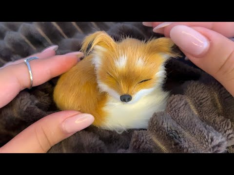 ASMR POV: VOCÊ É UMA RAPOSA E PRECISA DORMIR  🦊 (LOOP)