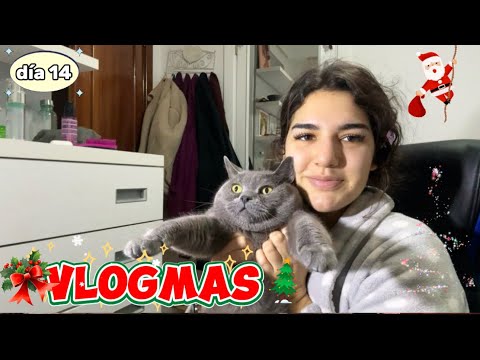 ASMR VLOGMAS 14 🎄 Día de limpiar y ordenar ✨