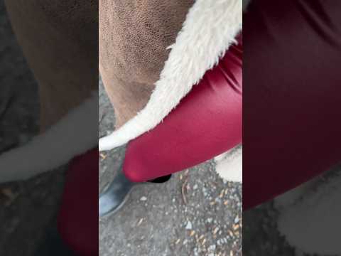 ASMR ganz entspannt in der Natur unterwegs mit schwarzen Stiefeln. 👢