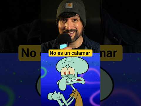 Bob Esponja en la vida real: ¿Qué animales son? 😳