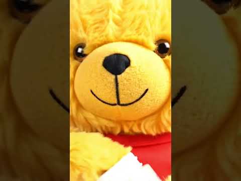 Asmr ursinho