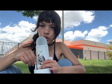 ASMR picnic