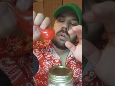 ASMR Squishy and Wood Frog Sounds #relax #asmrsleep