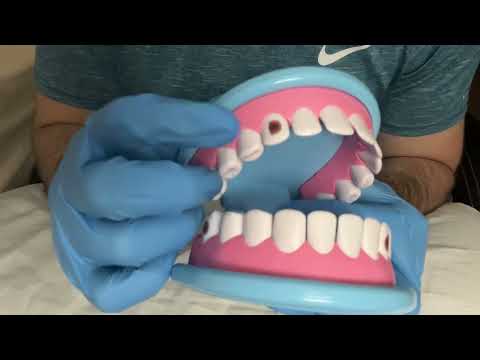 ASMR Thorough Dental Inspection and Teeth Cleaning