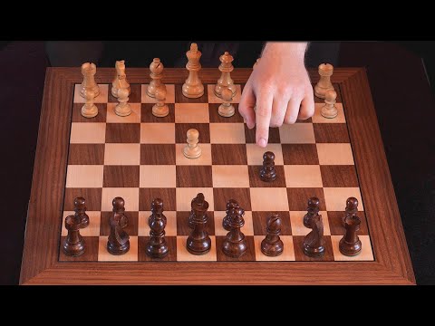 Learn the Sicilian Defense and Relax ♔ Dragon Variation ♔ ASMR