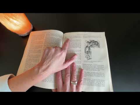 Flipping Through a Crinkly Book of Cultural Literacy / Brightness Check ~ ASMR Page Turning