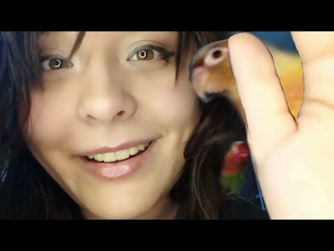 ASMR medical exam but you're my BIRB