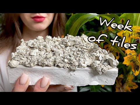 Неделя плиток// Феникс с творогом🍚// Week of tiles// Phoenix with curd//ASMR