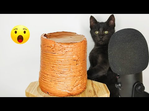 Cat Eating Tuna Wet Food ASMR Mukbang