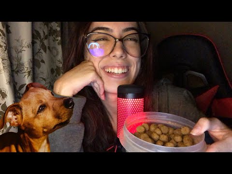 ASMR- VOCÊ É UM VIRA-LATA CARAMELO!