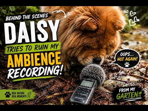 Daisy Ruined My Nature Recording 😂🐶 | Behind the Scenes – Stay Till the End!