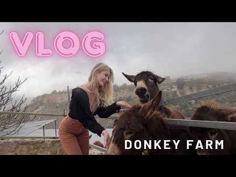 Ella.Fucila 🫏 VLOG: Spending some time at a Donkey Farm 💕