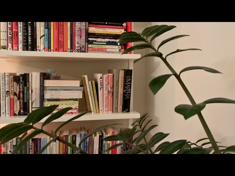 ASMR Bookshelf Tour ♡ 2025