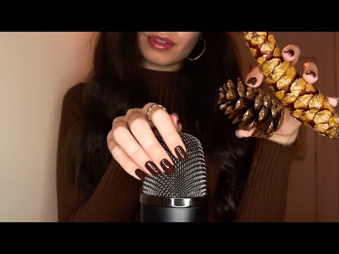 100% Brun ASMR 🤎(un Mois, une Couleur)