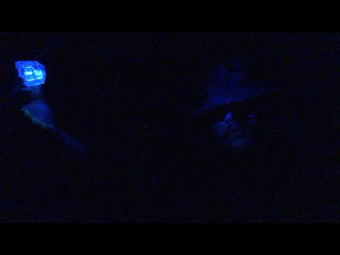 ASMR Detective Lyn Spector Roleplay {Crime Scene #1} (2Min Version)