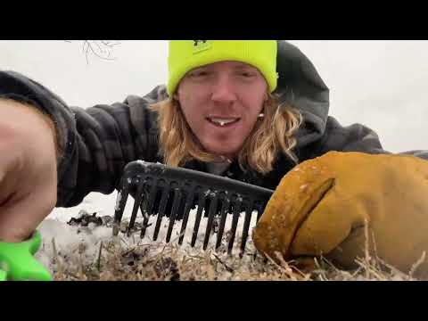 ASMR | How Barbers Shovel Snow 💈