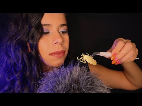 ASMR | TIRANDO SEUS PIOLHOS | SONO IMEDIADO GARANTIDO!