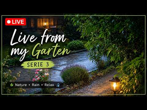 Live Rainy Garten Ambience  l Live From My Garten - Series l ASMR Nature Sounds