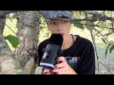 ASMR but i’m a tree